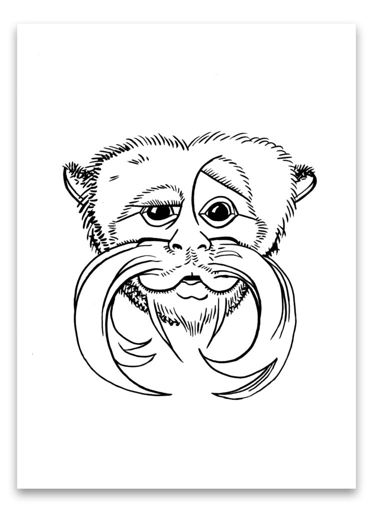 Pentekening van keizer-tamarin